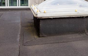 disadvantages of Skelfhill flat roofs